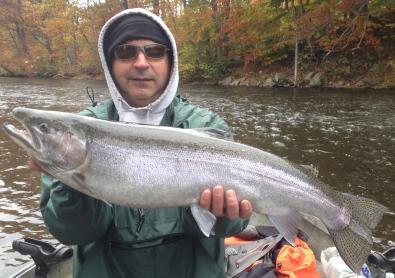 Steelhead trout fishing on the salmon river in pulaski ny from a drift boat